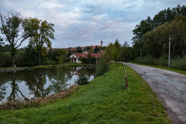 Gyönyörű Reggeli Tükröződések Fák Egy Nyugodt — Stock Fotó