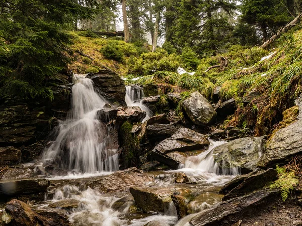 Torrente Selvaggio Una Foresta Verde — Foto Stock