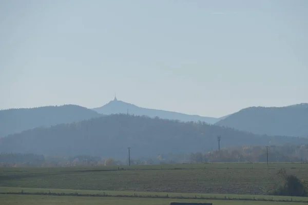 Kühler Morgen Auf Einer Grasbewachsenen Wiese Mit Tau — Stockfoto