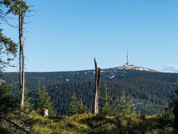 Alta Torre Antenna Lodato Visto Distatn Montagna Jeseniky Inczechia — Foto Stock