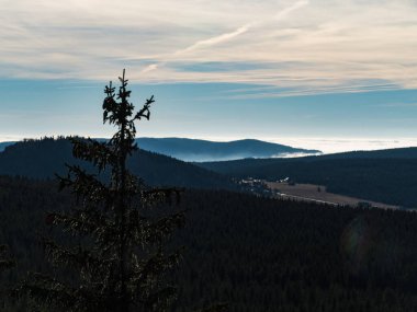 Güzel sonbahar ormanı ve ters hava