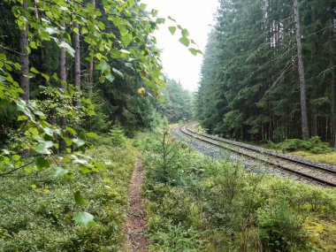 Ormanın derinliklerinde hat rayları