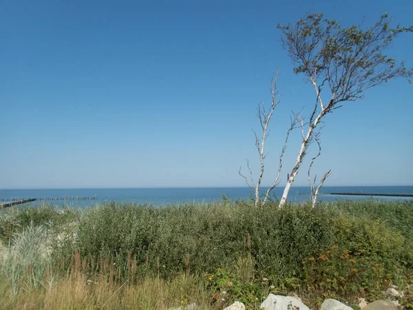 Bella Costa Calmo Mare Baltico Estate — Foto Stock