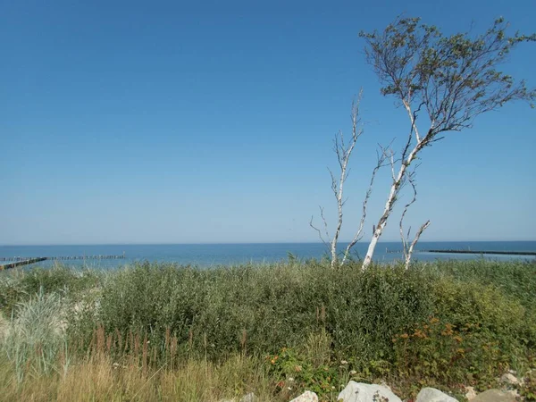 Mooie Rustige Baltische Zeekust Zomer — Stockfoto