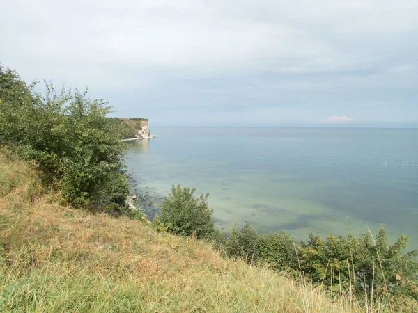 Красивое Спокойное Побережье Балтийского Моря Летом — стоковое фото