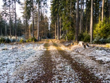 Batı Bohemya Cesky les Peyzaj Kış başında