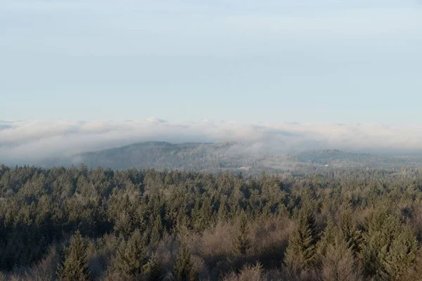 Western Bohemia Cesky Les Landscape Early Winter — стоковое фото