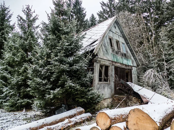 森に捨てられた家を破壊する危険性がある — ストック写真