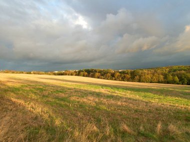 Güzel güneşli sonbahar günbatımı bir çayırda
