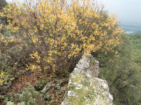 Ruin Trebenna Ancient City Historic Lycian Way Turkey Mountains Antalya — Stock Photo, Image