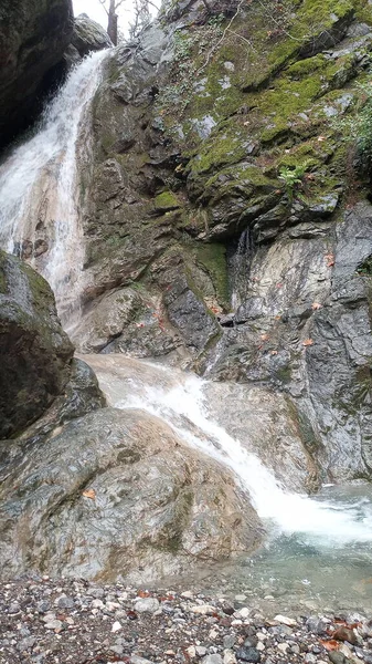 Cascata Nel Bosco Tacchino Montagna — Foto Stock