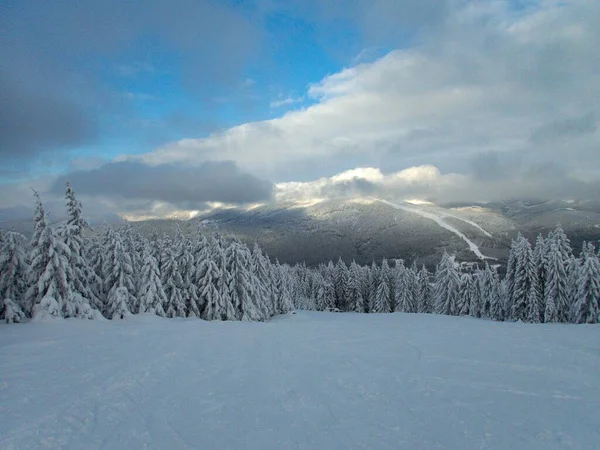 Belo Tempo Inverno Montanhas Checas Krkonose Ineurope — Fotografia de Stock