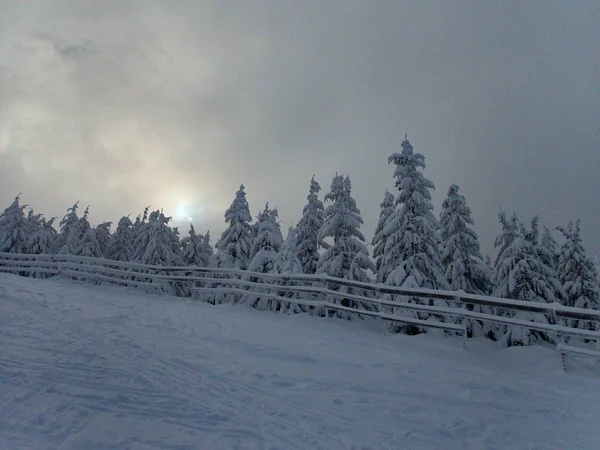 Belo Tempo Inverno Montanhas Checas Krkonose Ineurope — Fotografia de Stock