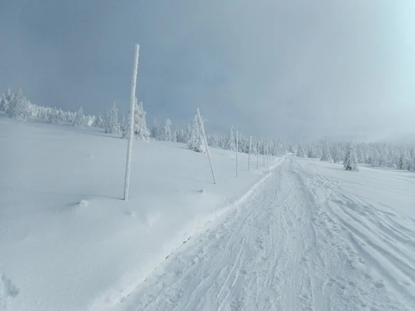 Belo Tempo Inverno Montanhas Checas Krkonose Ineurope — Fotografia de Stock
