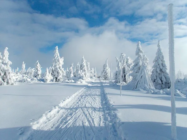 Beau Temps Hiver Tchèque Krkonose Montagnes Ineurope — Photo