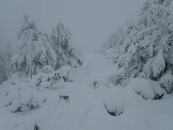 Tempo Congelado Nevoeiro Branco Nas Montanhas — Fotografia de Stock