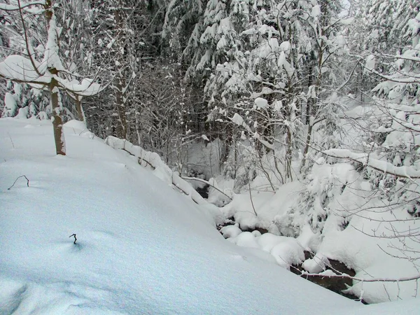 Amazing Beautiful Snowy Winter Krkonose Mountains Czechia — Stock Photo, Image