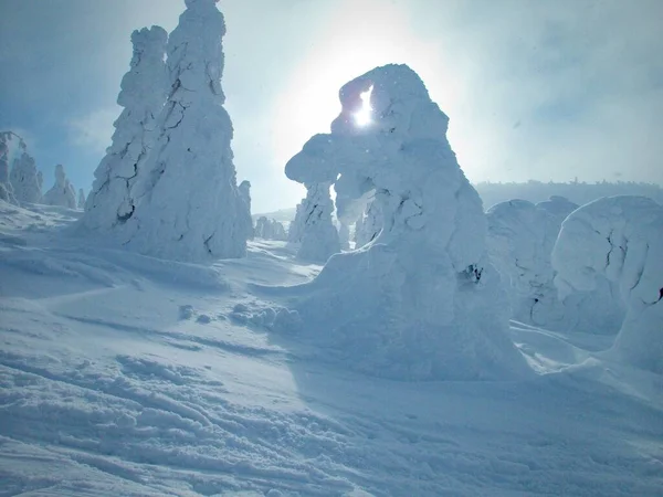 Wunderschöner Schneebedeckter Winter Riesengebirge Tschechien — Stockfoto