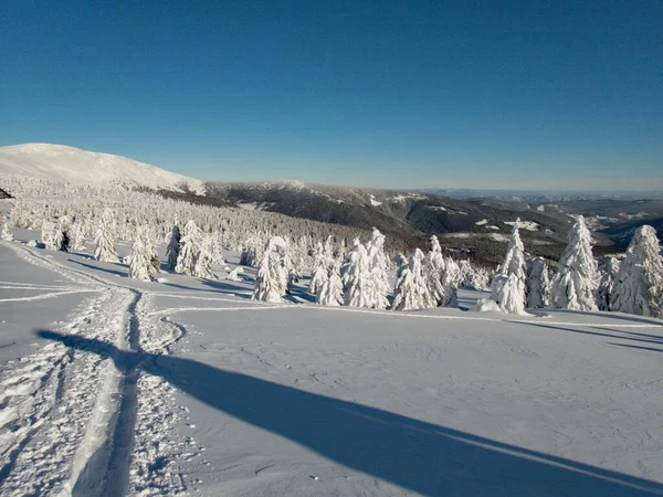 Vistas Incríveis Inverno Montanhas Krkonose Czechia — Fotografia de Stock