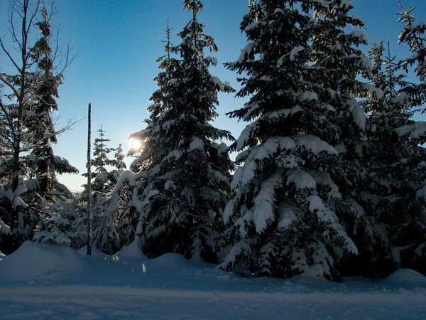 Prachtig Uitzicht Winter Krkonose Bergen Tsjechië — Stockfoto