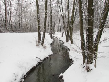 Olza nehri kışın karla kaplı Czech Cila Bordet 'de.