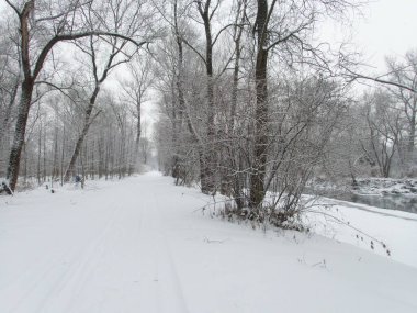 Olza nehri kışın karla kaplı Czech Cila Bordet 'de.