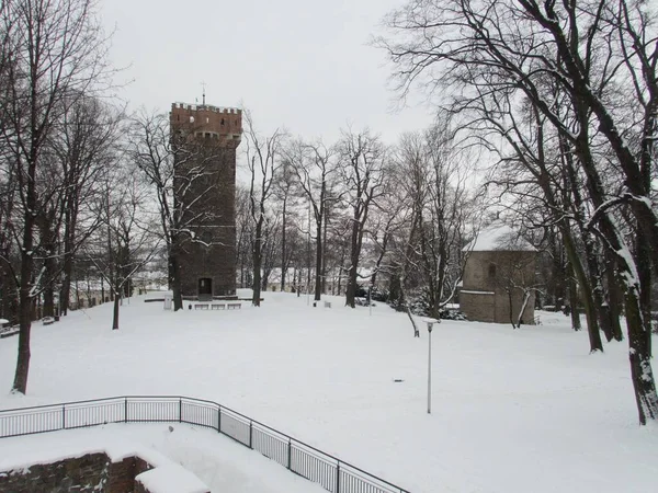 Kışın Ciaszyn şehir merkezindeki tarihi kulede