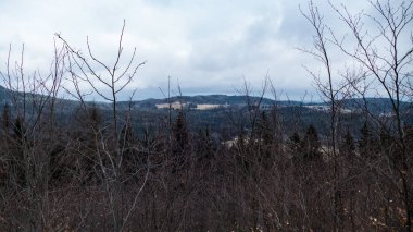 Kışın sonunda Çekler 'in kuzey dağlarında boynuzlu luzicke.