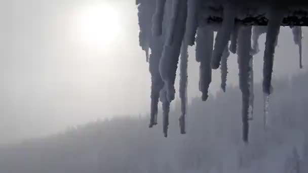 Śnieżna Zima Czeskich Krkonose Gigantycznych Górach — Wideo stockowe