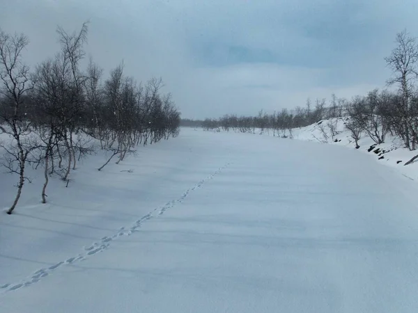 Bellissimo Paesaggio Invernale Selvaggio Innevato Del Parco Nazionale Sarek Lapponia — Foto Stock