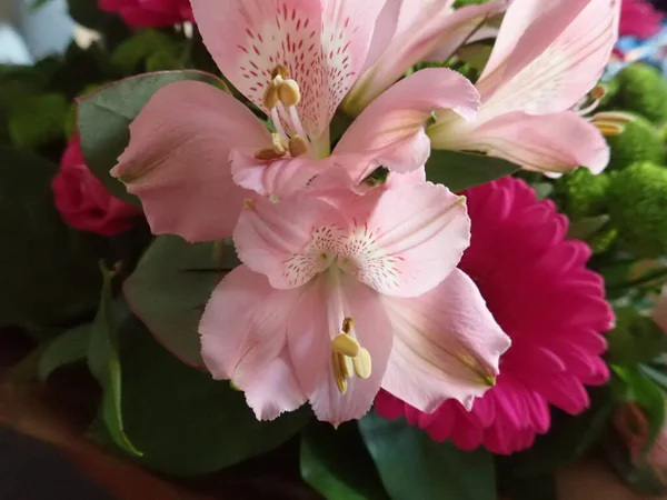 Ein Genaues Detail Schöner Rosafarbener Blumen — Stockfoto