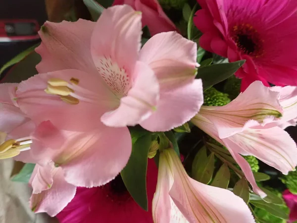 Ein Genaues Detail Schöner Rosafarbener Blumen — Stockfoto