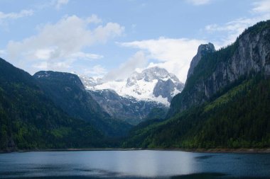 Salzkammergut 'taki Avustralya Alpleri' nin güzel yaz doğası.
