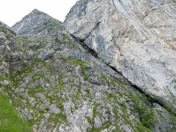 Красива Літня Природа Промислових Альпах Зальцкаммергуті — стокове фото