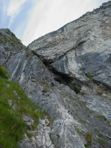 Bela Natureza Verão Alpes Austríacos Salzkammergut — Fotografia de Stock