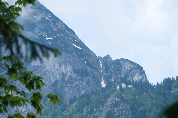 Krásná Letní Příroda Rakouských Alpách Salzkammergutu — Stock fotografie