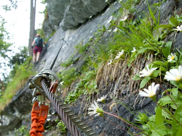 Piękne Lato Natura Austriackich Alpach Salzkammergut — Zdjęcie stockowe