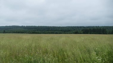 Yazın Çeçenistan 'da güzel dağlar krusn boynuzu