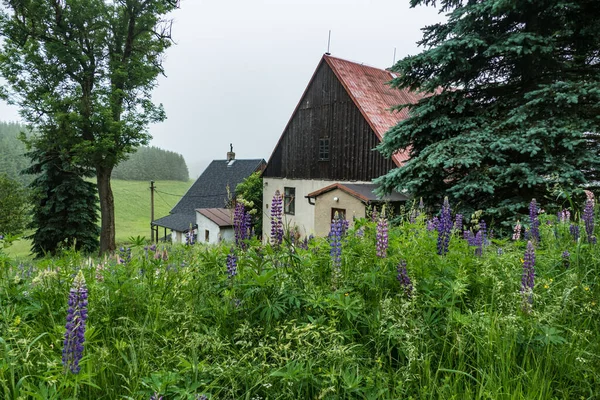 Régi Elhagyatott Ház Cseh Domboldalon Krusne Hory — Stock Fotó