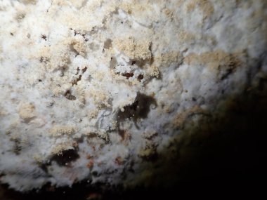 Eski yıpranmış tuğla duvarın yakın bir detayı.