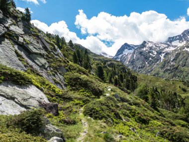 Avusturalya 'daki otztal alplerde muhteşem bir yaz manzarası.