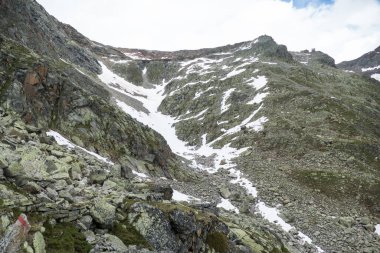 Avusturalya 'daki otztal alplerde muhteşem bir yaz manzarası.