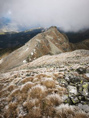 Güzel, serin sonbahar yürüyüşü Avrupa 'da Alpen Alpen' de.