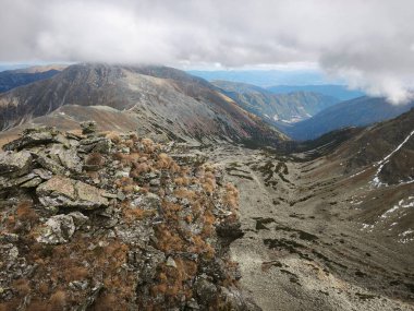 Güzel, serin sonbahar yürüyüşü Avrupa 'da Alpen Alpen' de.