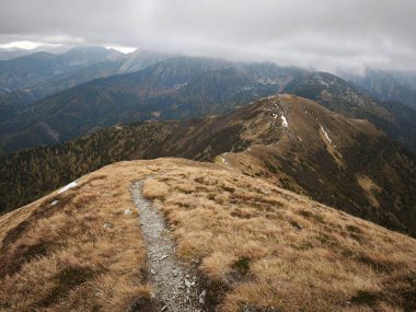Güzel, serin sonbahar yürüyüşü Avrupa 'da Alpen Alpen' de.