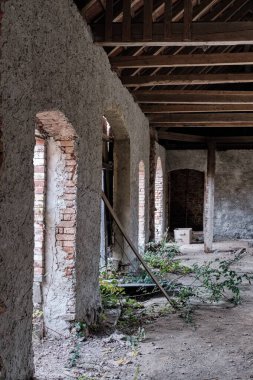 Ormanın ortasında terk edilmiş bir ev.