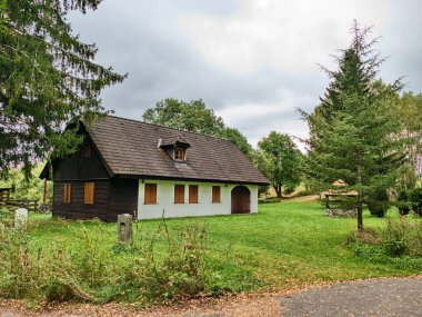 Ormanın ortasında terk edilmiş bir ev.