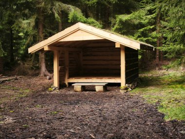 Czechia 'daki Bohem Ormanı' nda Huysuz Sonbahar Doğası