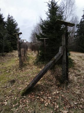 Czechia 'daki Bohem Ormanı' nda Huysuz Sonbahar Doğası