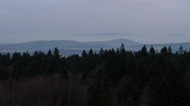 Czechia 'daki Bohem Ormanı' nda Huysuz Sonbahar Doğası
